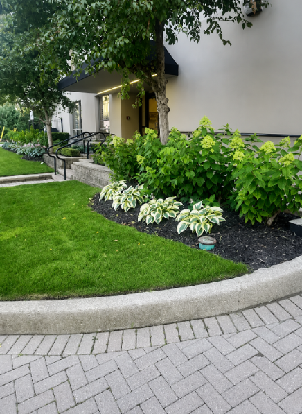 Front Walkway, Lawn & Hosta Garden Beds