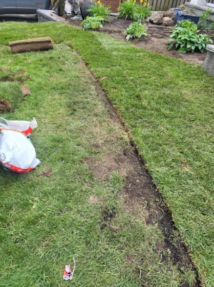 Crew laying fresh sod and edging a garden bed