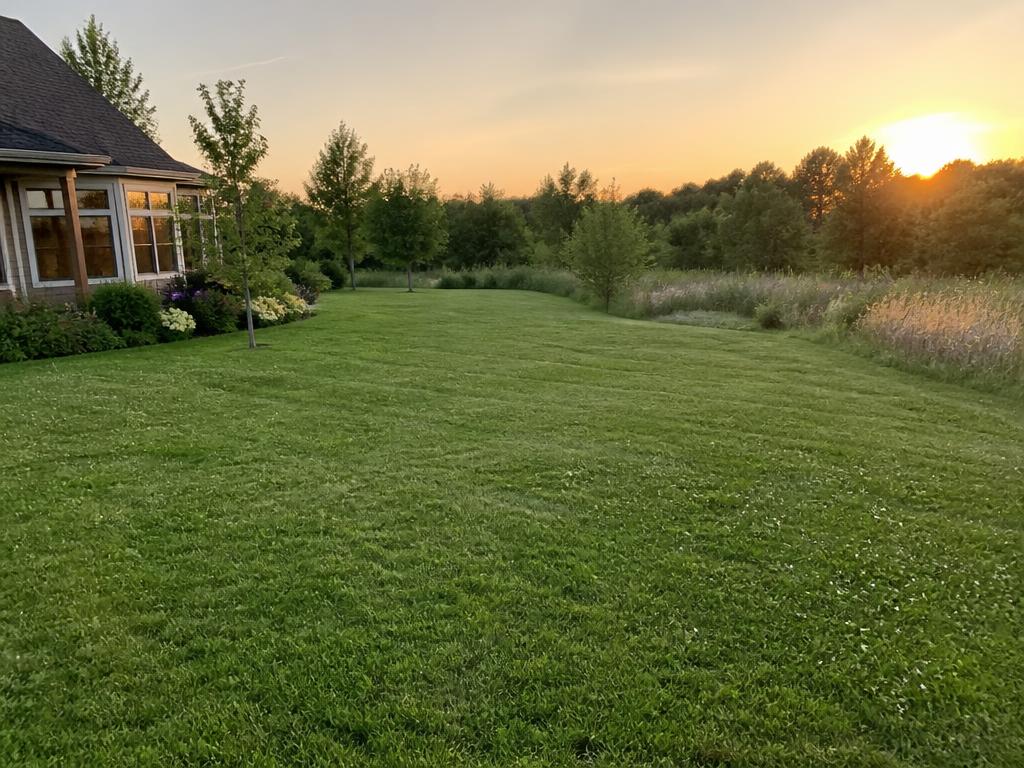 Low-Mow Eco Blend — lawn renovation & sod installation material
