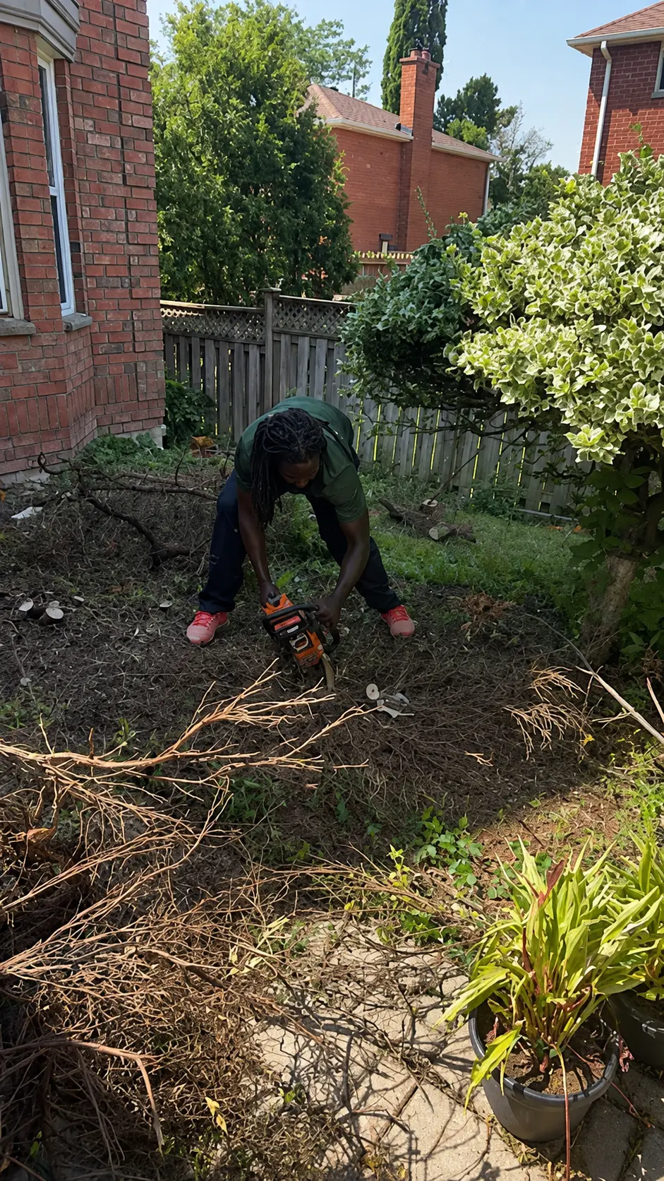 Clearing overgrown brush with a chainsaw