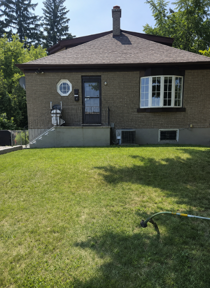 Backyard Lawn Restoration